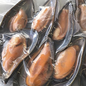 Фото Мидия Грея на створке варено-мороженая