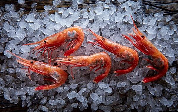 Фото Креветка северная углохвостая варено-мороженая неразделанная МАГАДАНСКАЯ 140/200