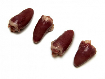 Фото Сердце дикого гуся