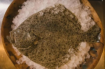 Фото Камбала Калкан свежемороженная 1,5-3 кг