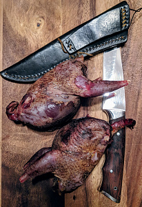 Превью Серая куропатка дикая без пера