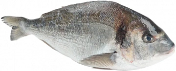 Фото Дорадо с/м (600-800г) коробка 5кг