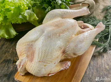 Фото Индейка фермерская