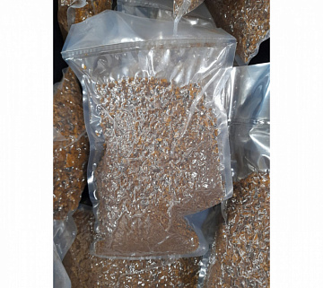 Фото Березовый гриб чага