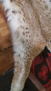 Превью Ковер из рыси 140 см с когтями