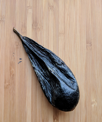 Фото Желчь медведя вяленая (90-110гр)