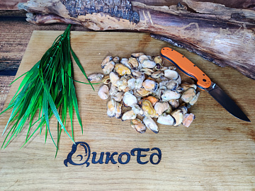 Фото Мидии очищенные варено-мороженые 1 кг (100/200)