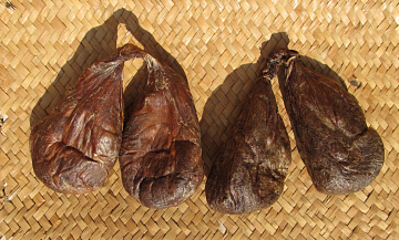 Фото Мускус бобра (струя бобра вяленая) 180-250 г. пара