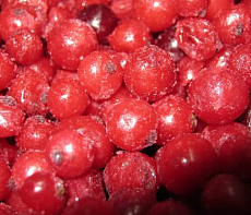 Красная смородина быстрозамороженная 500 г УЦЕНКА 