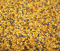 Пыльца цветочная